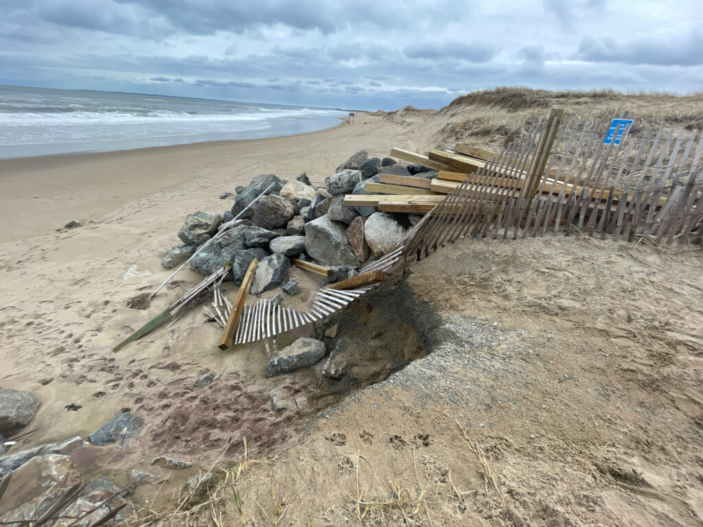 a pile of wood on a beach (MyCoast AI)