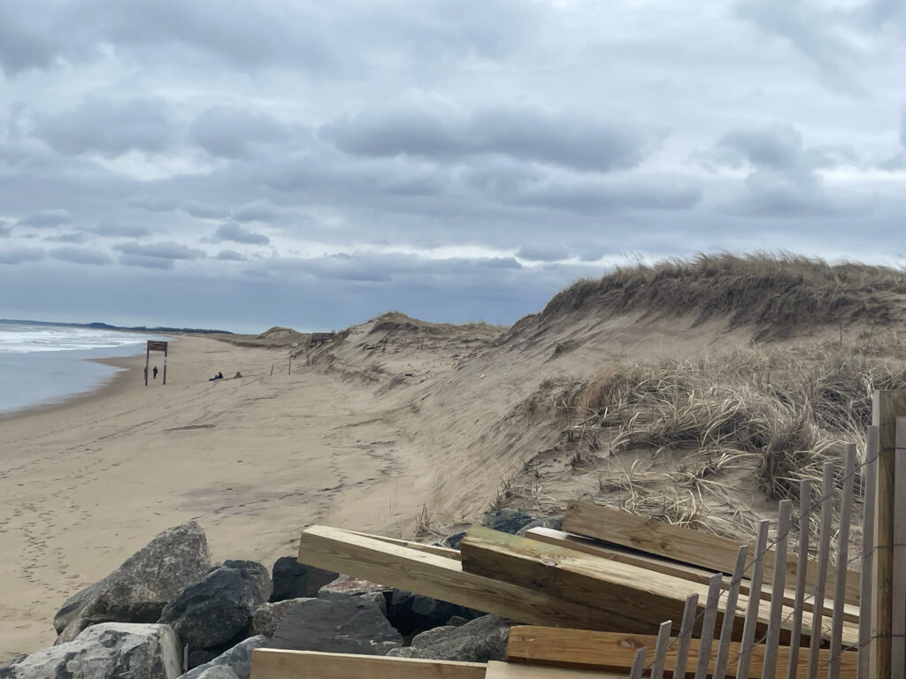 a beach with a wood deck (MyCoast AI)