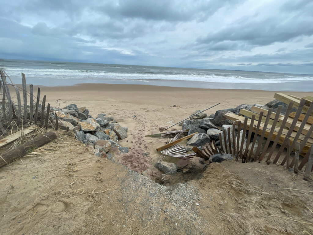 a beach with logs and a fence (MyCoast AI)