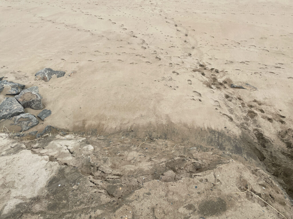 a rocky area with a few rocks (MyCoast AI)