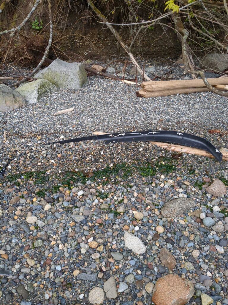 a black snake on rocks (MyCoast AI)