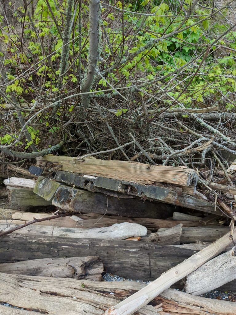 a wooden bridge over a river (MyCoast AI)