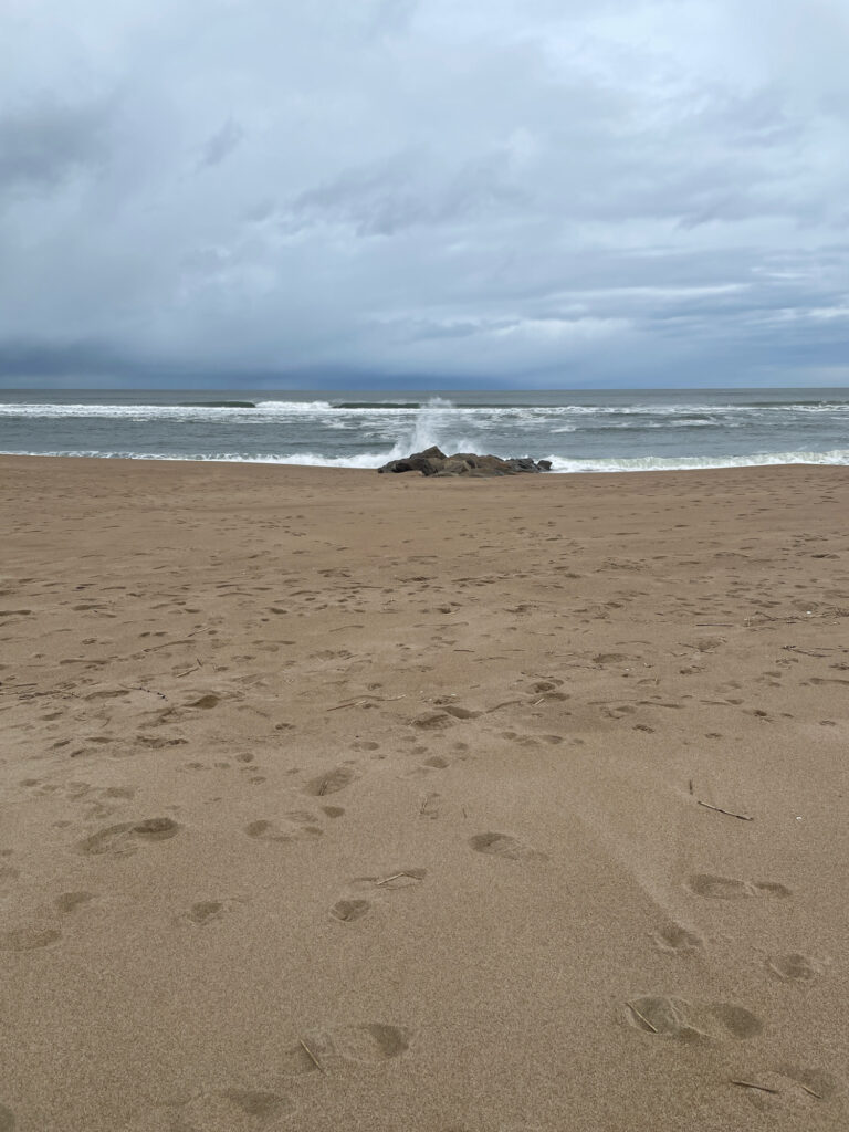 a sandy beach with waves crashing (MyCoast AI)
