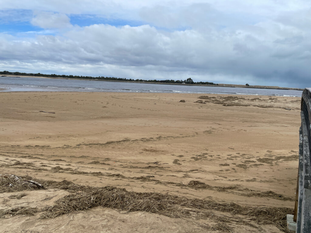 a sandy beach with water and trees (MyCoast AI)