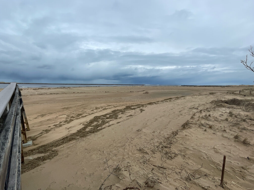 a sandy area with a fence (MyCoast AI)