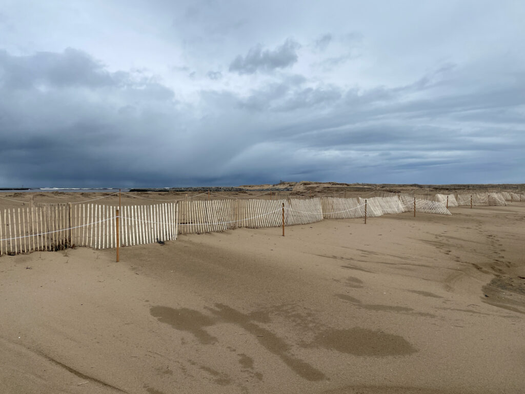 a sandy beach with a fence (MyCoast AI)