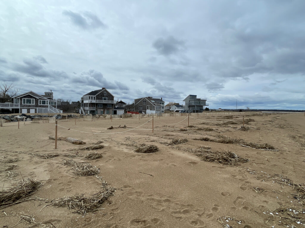 a sandy beach with houses in the background (MyCoast AI)