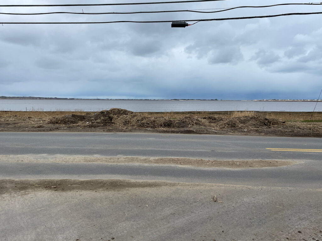 a road next to a beach (MyCoast AI)