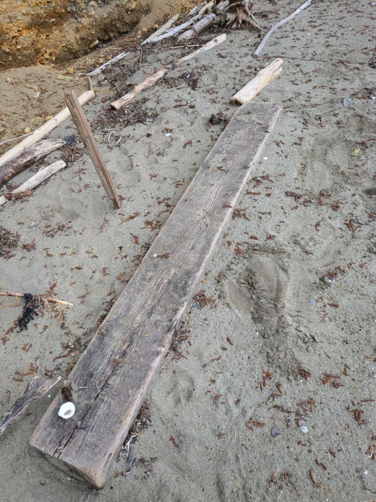 a wooden plank on the ground (MyCoast AI)