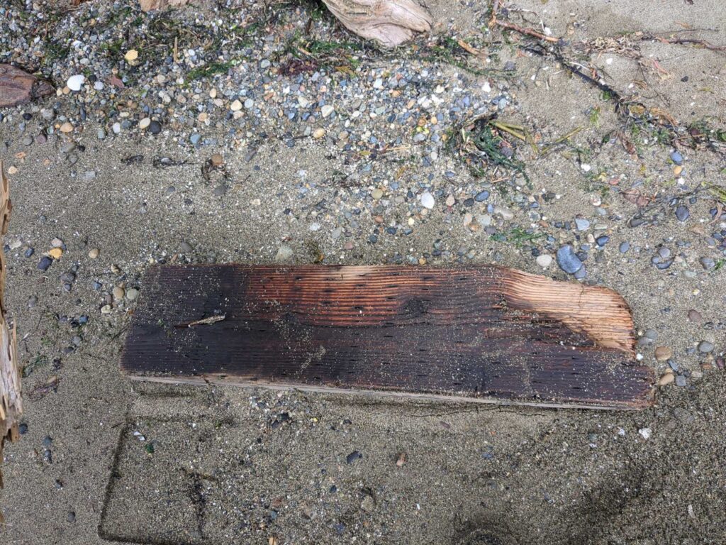 a wooden bench on the ground (MyCoast AI)