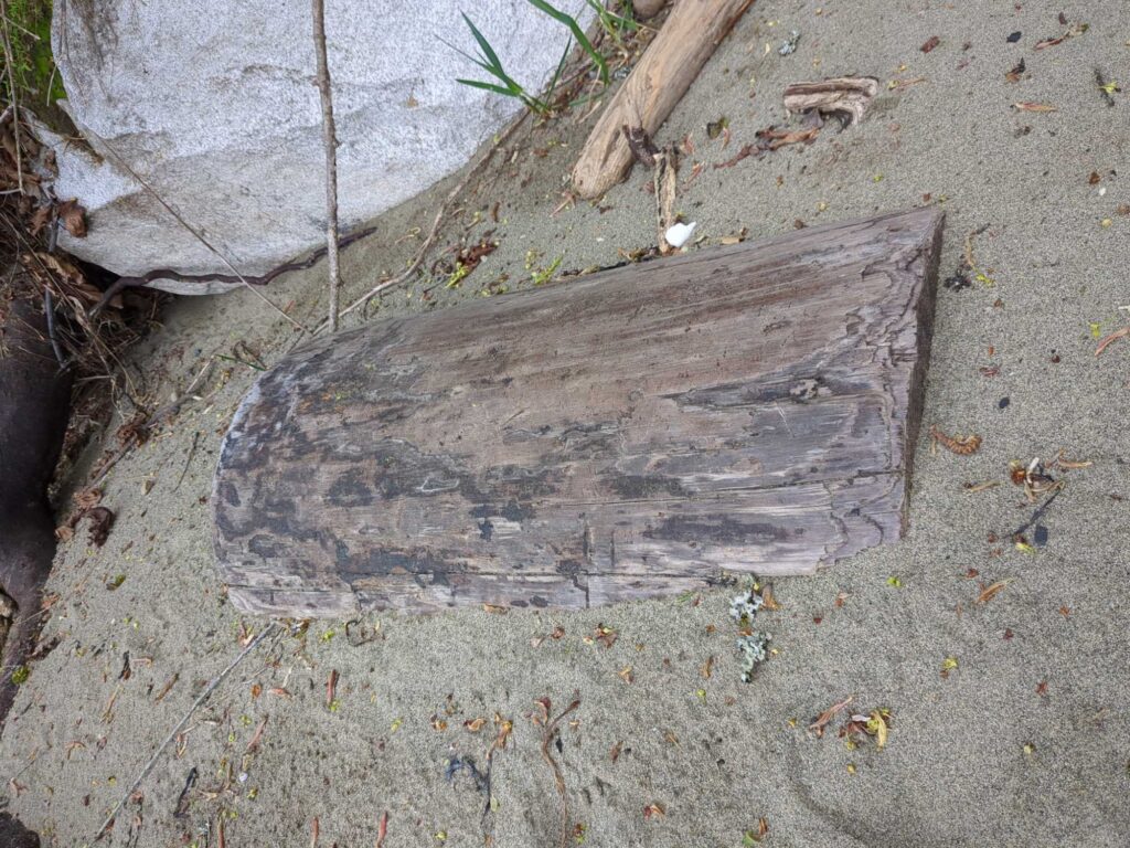 a piece of wood on the ground (MyCoast AI)