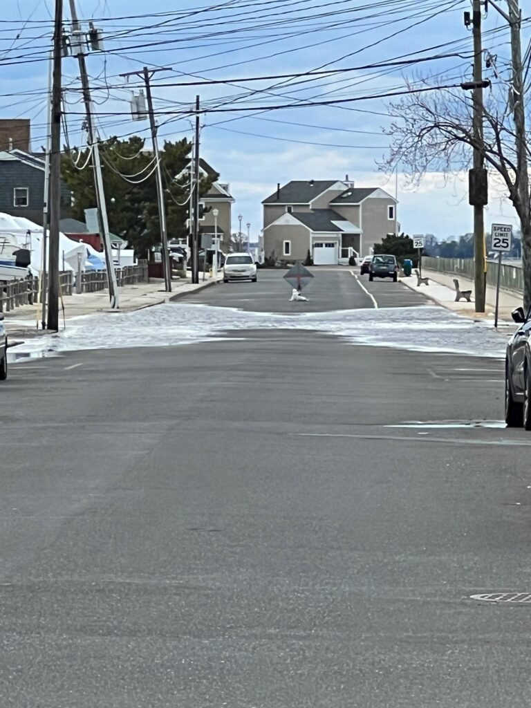 a street with cars and houses (MyCoast AI)
