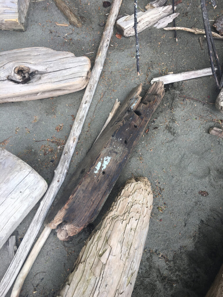 a group of logs (MyCoast AI)