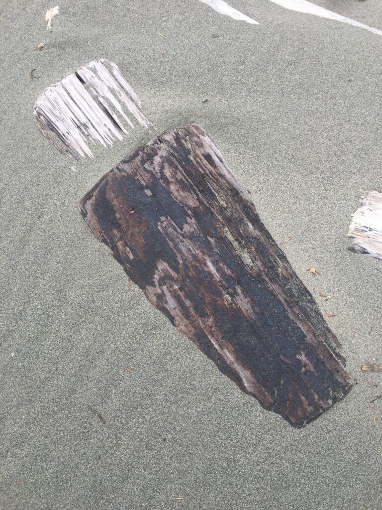 a piece of wood on the ground (MyCoast AI)