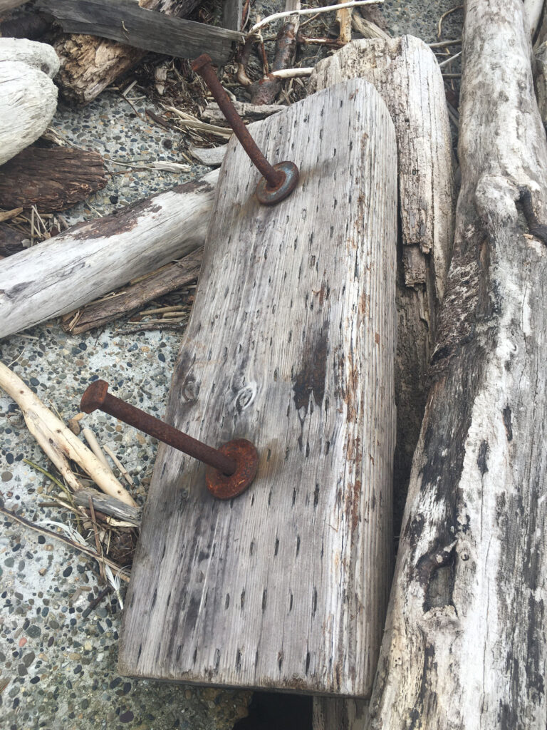 a wooden door handle on a tree (MyCoast AI)