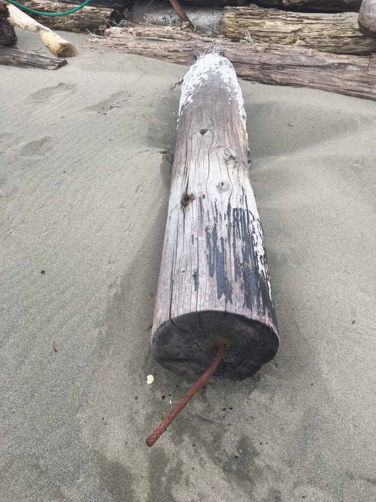 a piece of wood with a stick stuck in it (MyCoast AI)