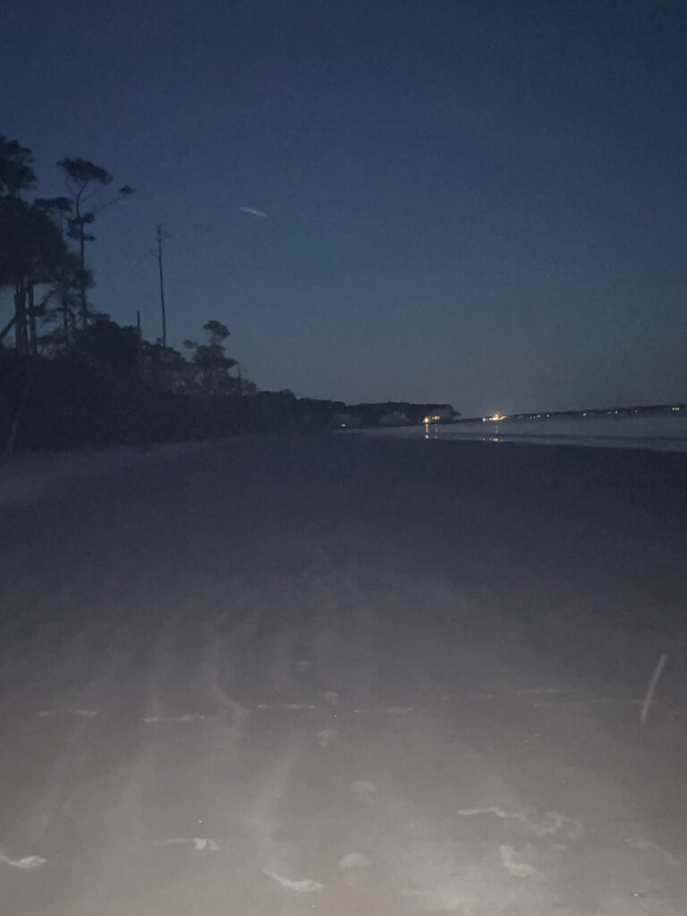 a body of water with trees and a light post in the distance (MyCoast AI)