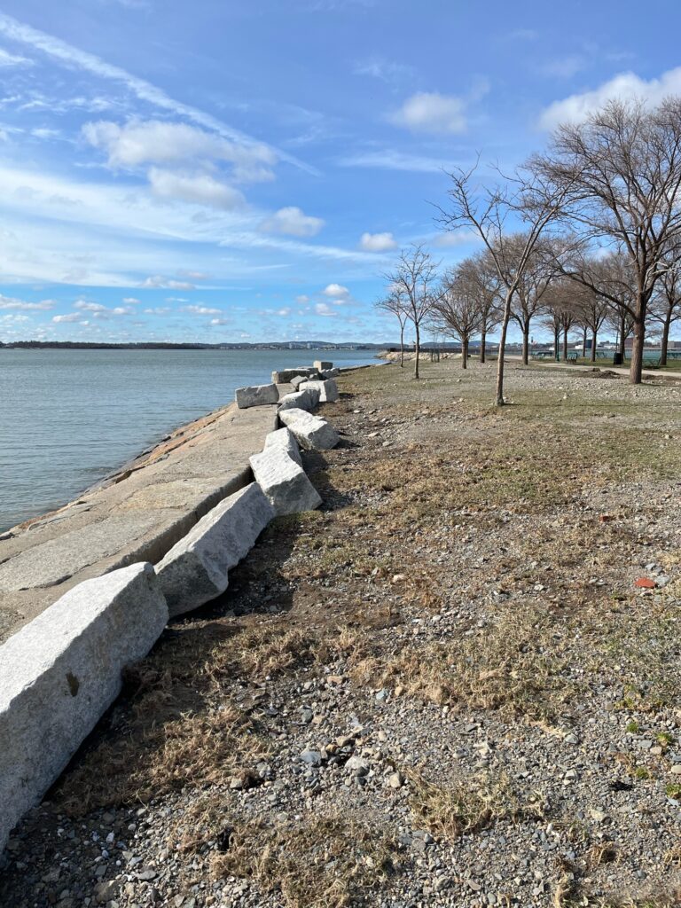 a rocky beach with trees and water (MyCoast AI)