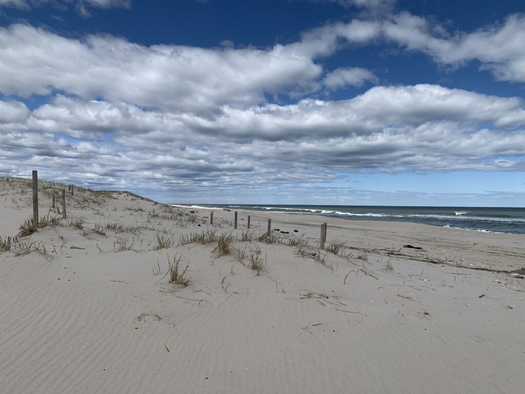 a sandy beach with a fence (MyCoast AI)