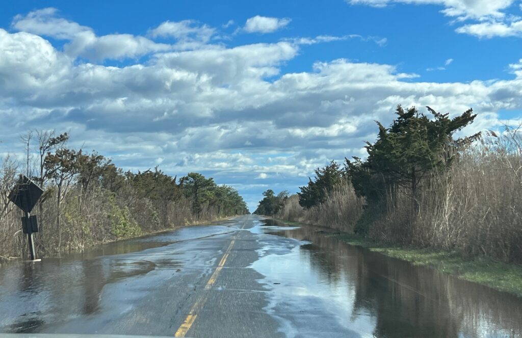 a road with water on the side (MyCoast AI)