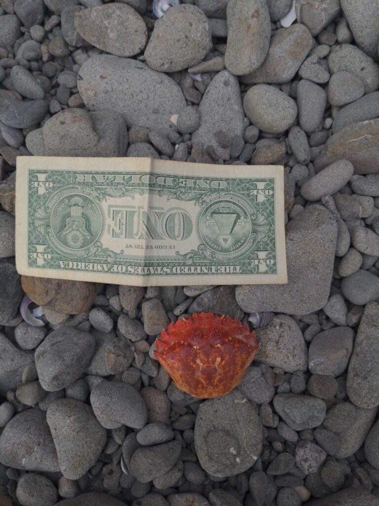 a sign on rocks (MyCoast AI)