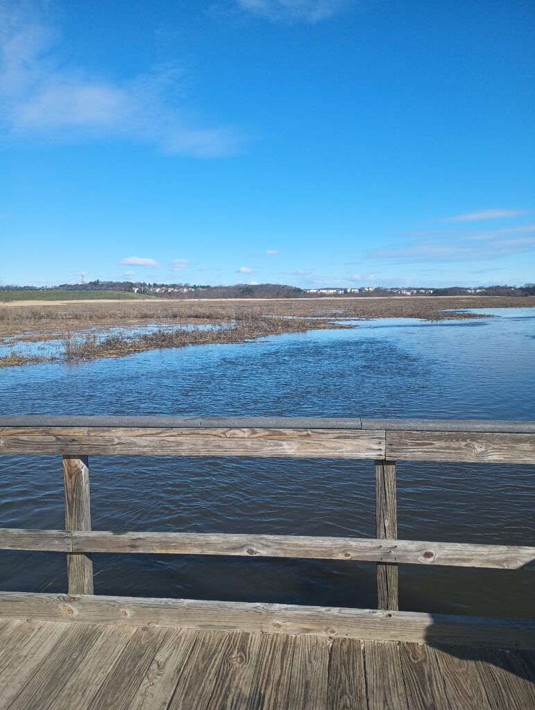 a wooden railing overlooking a body of water (MyCoast AI)