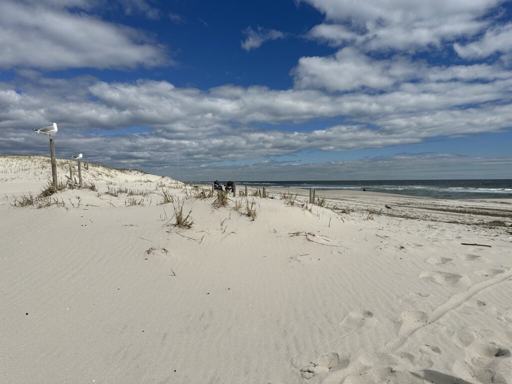 a beach with people walking on it (MyCoast AI)