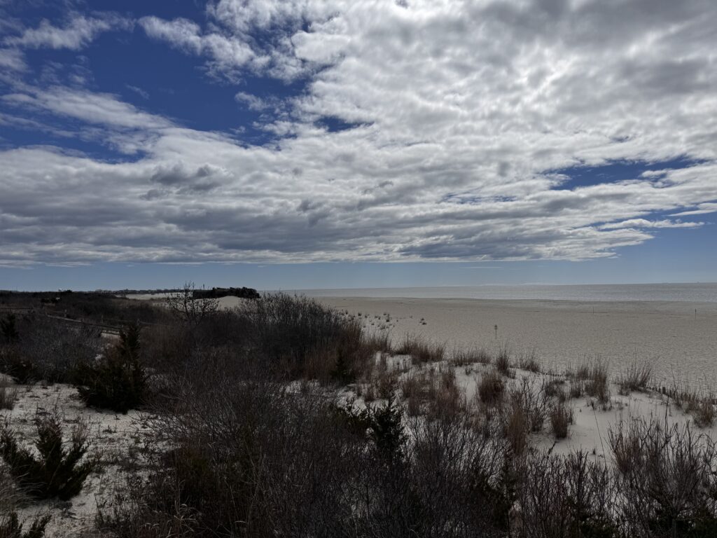 a landscape with bushes and trees (MyCoast AI)