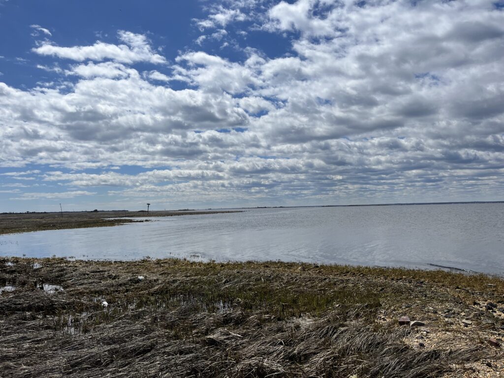 a body of water with land around it (MyCoast AI)
