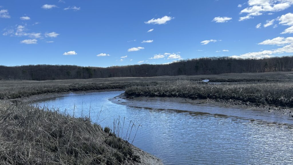 a river with a forest in the background (MyCoast AI)