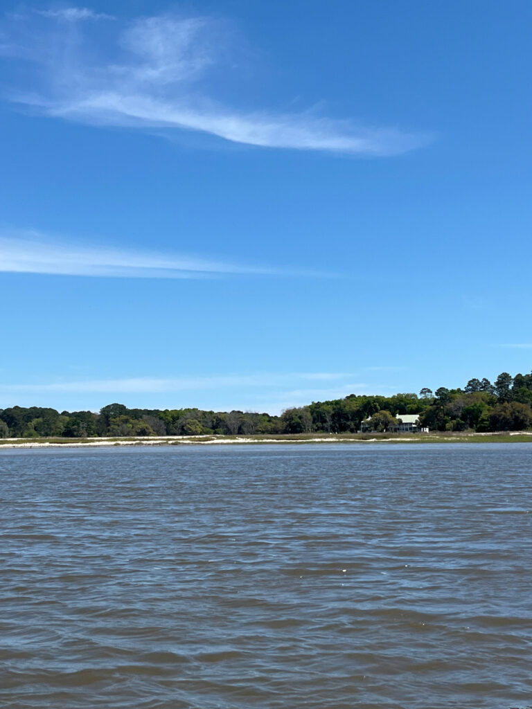 a body of water with trees in the background (MyCoast AI)