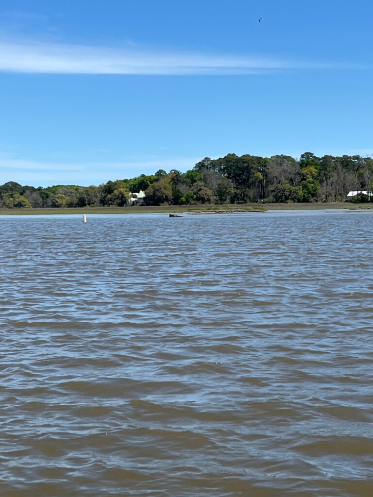 a body of water with trees in the background (MyCoast AI)