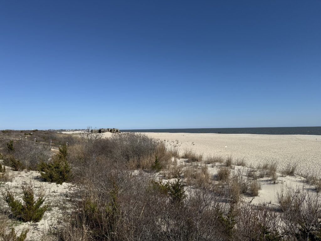 a field of dry grass (MyCoast AI)
