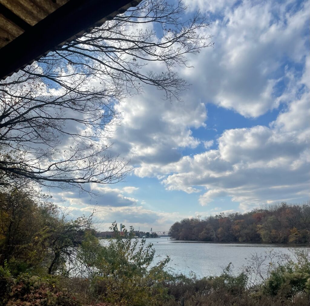 a body of water with trees around it (MyCoast AI)