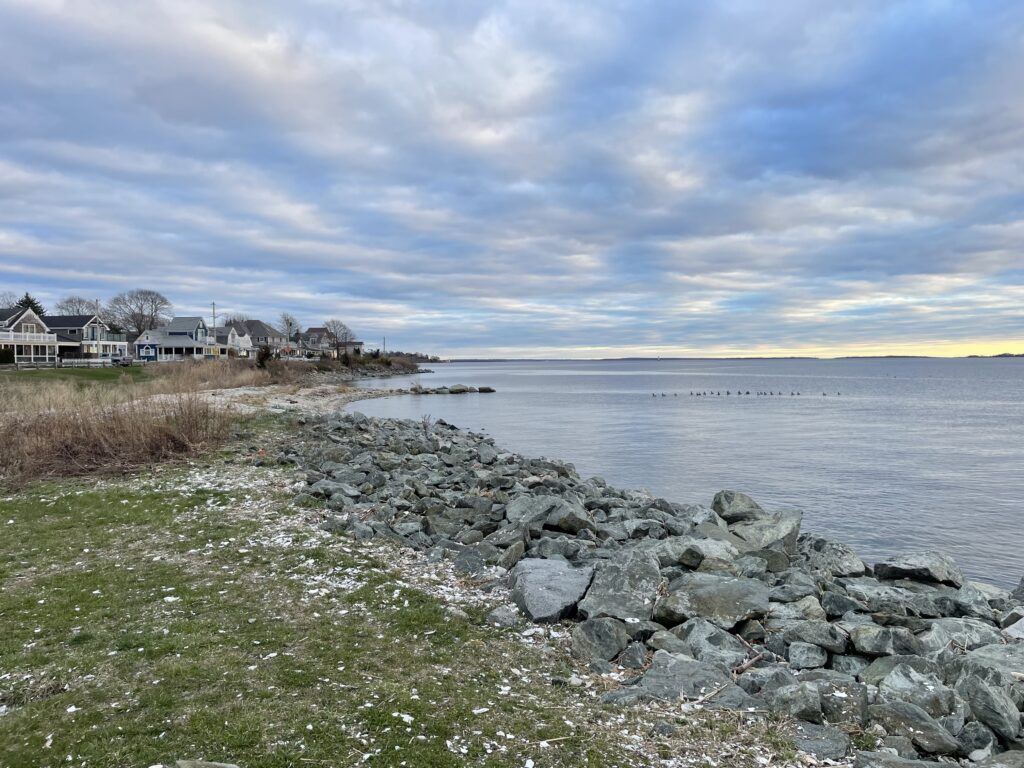 a rocky beach with houses and water (MyCoast AI)