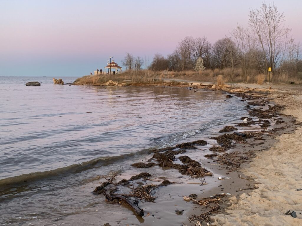 a beach with a building in the distance (MyCoast AI)