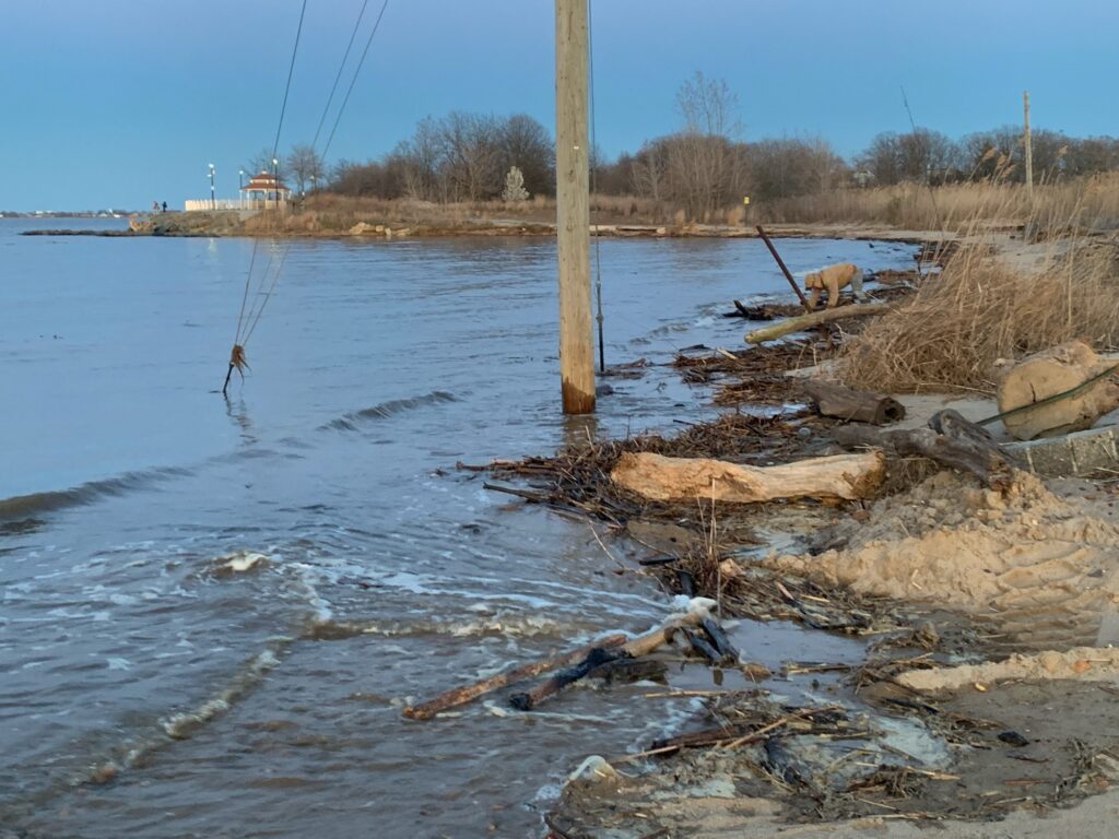 a river with rocks and a pole (MyCoast AI)
