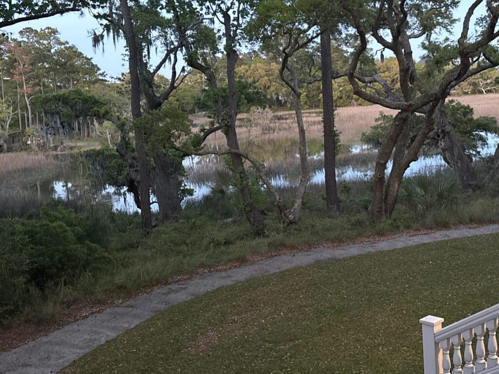 a path with grass and trees by a body of water (MyCoast AI)