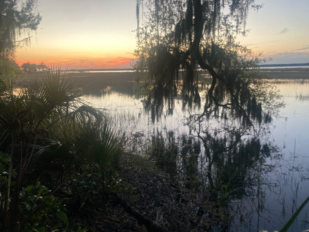 a body of water with trees and plants around it (MyCoast AI)