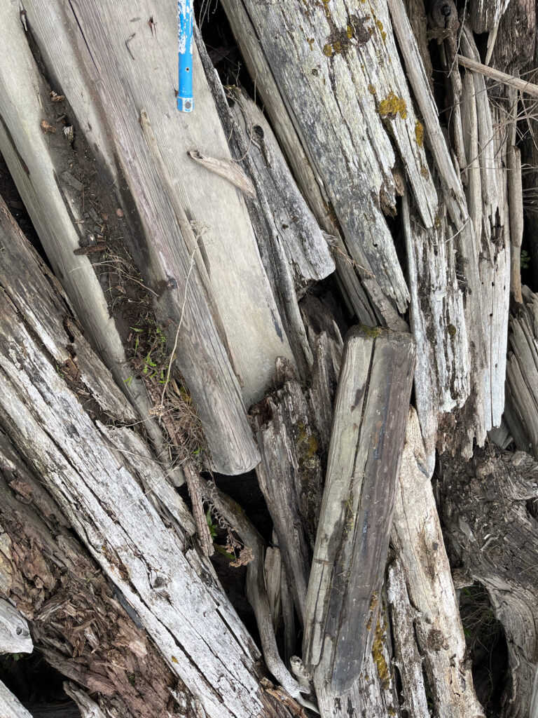 a group of wood logs (MyCoast AI)