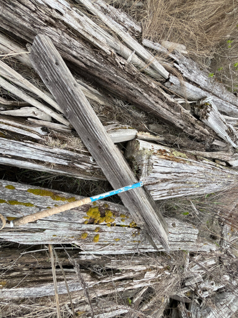 a pile of wood and sticks (MyCoast AI)