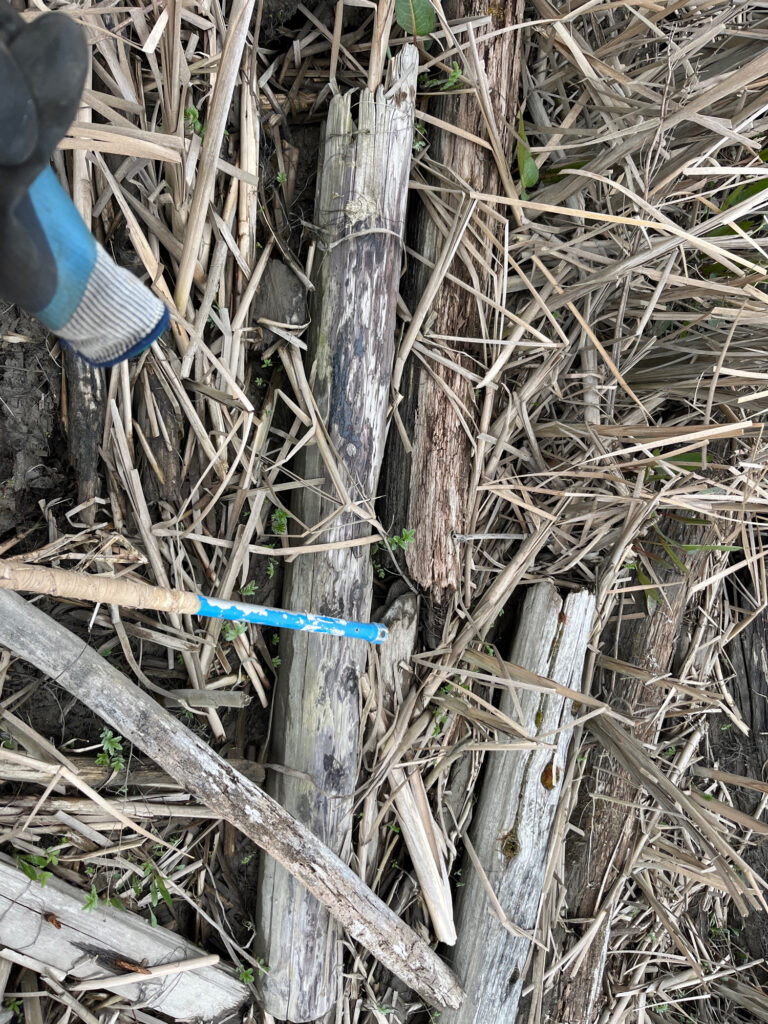 a blue pipe in the ground (MyCoast AI)