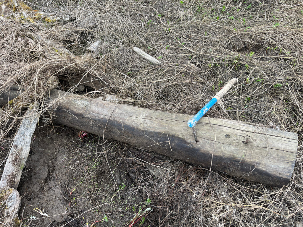 a knife on a log (MyCoast AI)