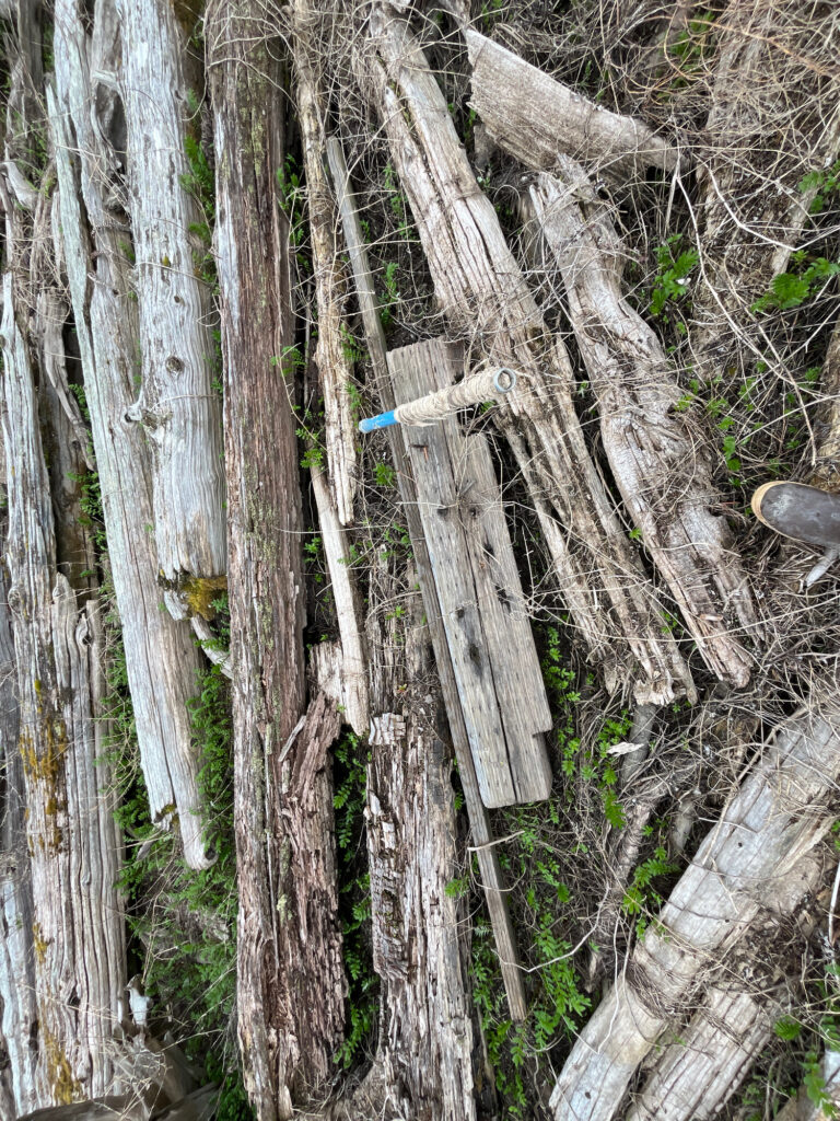 a group of trees with a blue frisbee in the middle with Via Krupp in the background (MyCoast AI)