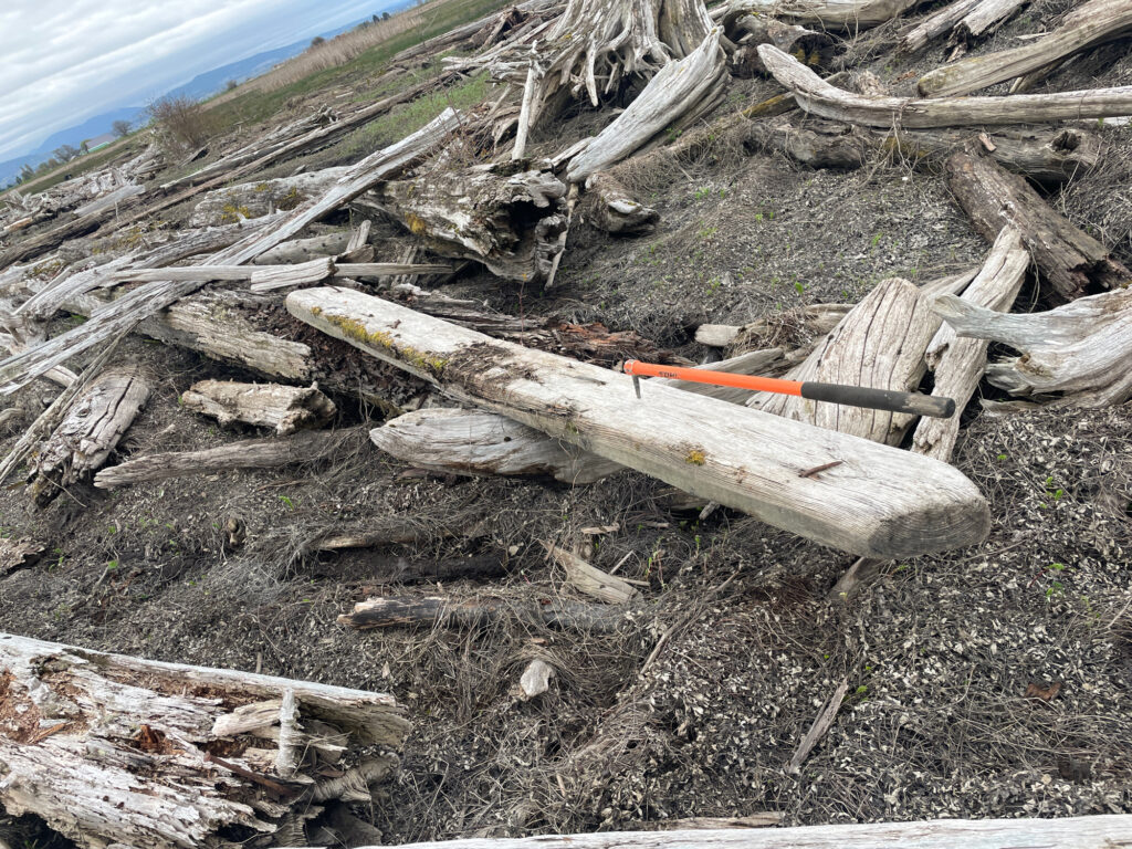 a pile of wood and logs (MyCoast AI)
