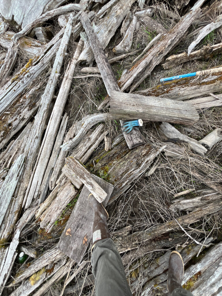 a person's feet in a pile of wood (MyCoast AI)
