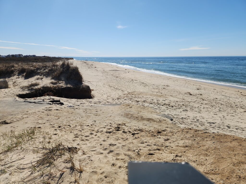 a sandy beach with a body of water in the background (MyCoast AI)