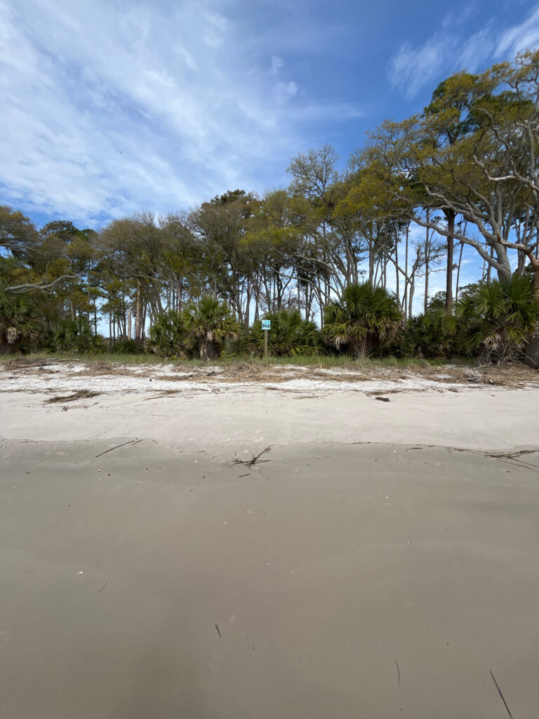 a sandy beach with trees on the side (MyCoast AI)