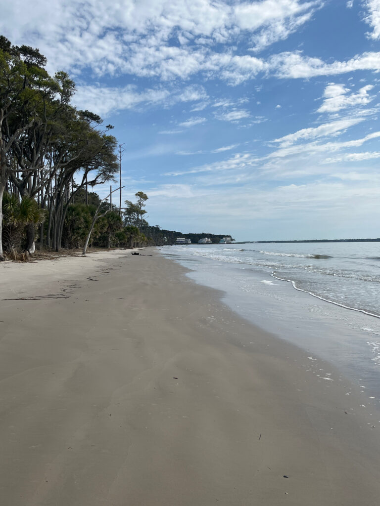 a sandy beach with trees and blue sky (MyCoast AI)