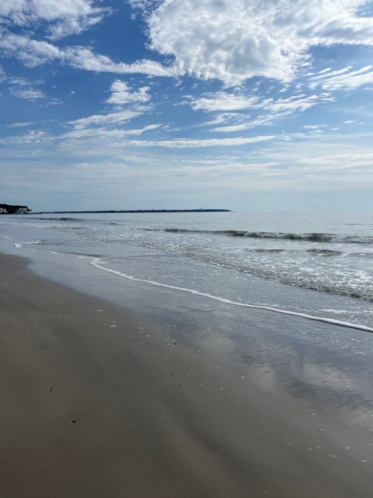 a beach with waves and a cloudy sky (MyCoast AI)